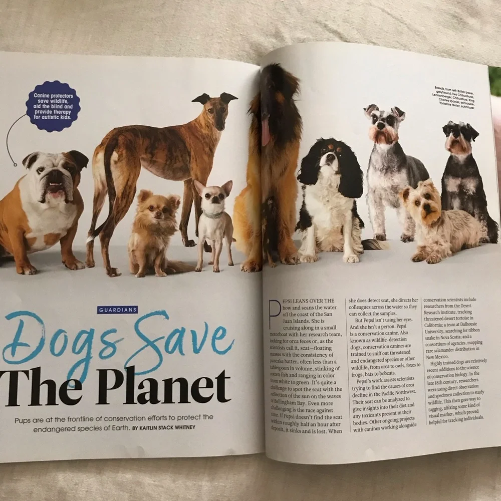 FREE The Ultimate Guide to the Animal Mind - Picture 10 of 10